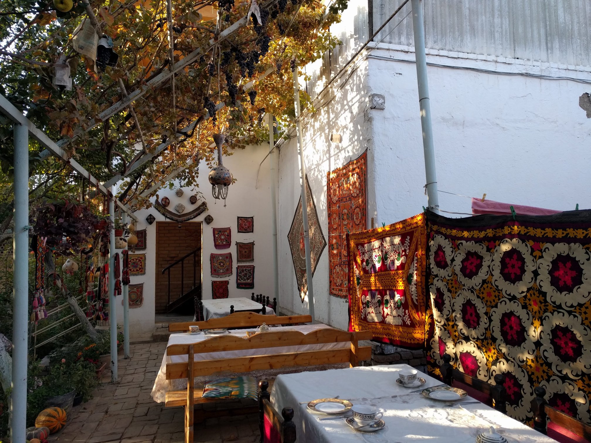 ANTICA Family Guest House-餐饮