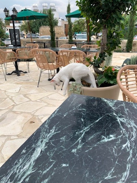 Polis 1907, By Louis Hotels主图