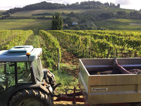 Fattoria Pogni-切塔尔多必去景点