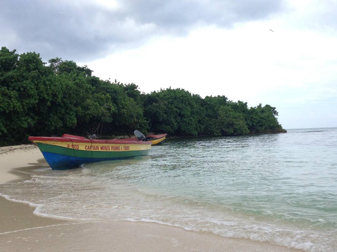 Negril Sunset Tours景点图片