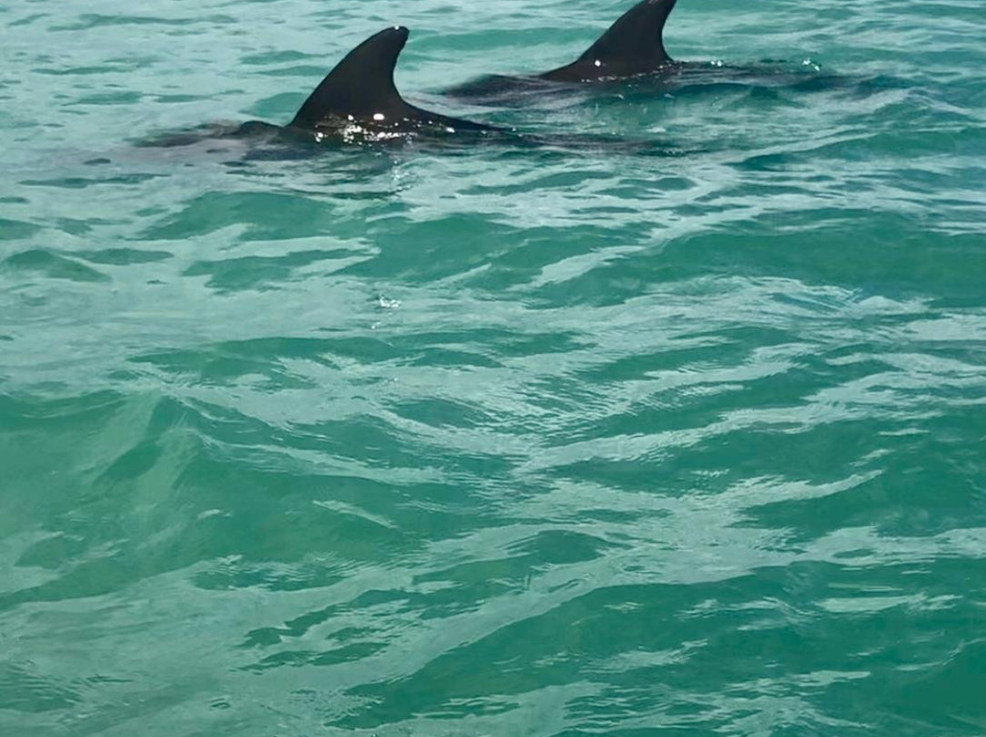 Malcolm Brothers Tours-内格里尔必去景点