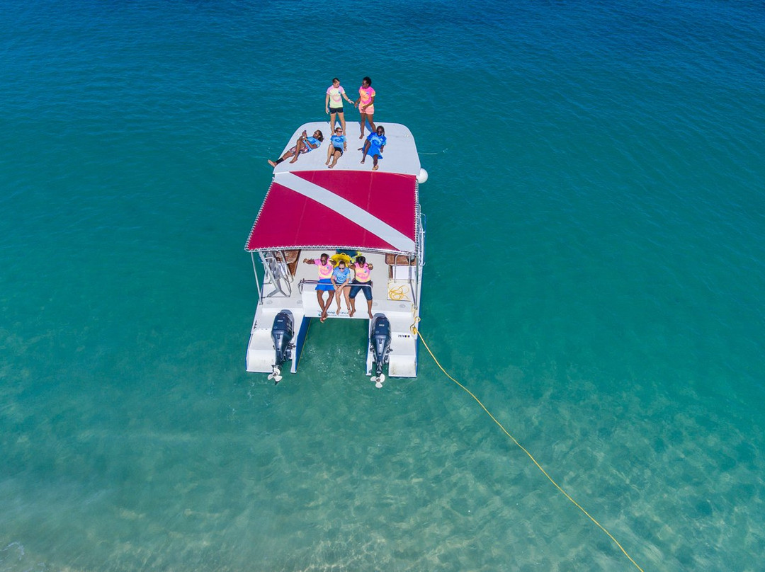 Eco Dive-St. George's必去景点