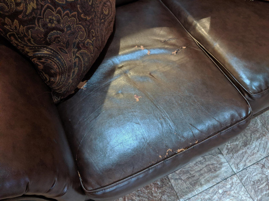 派克伍德旅馆主图