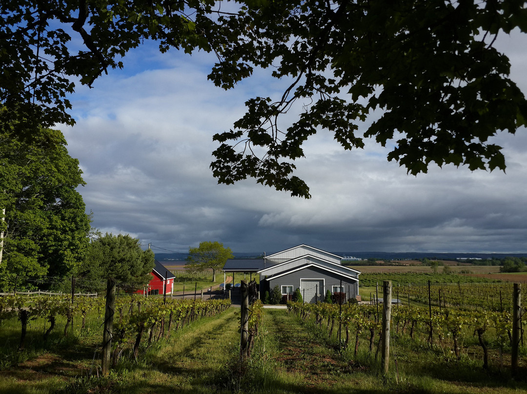 Blomidon Estate Winery景点图片