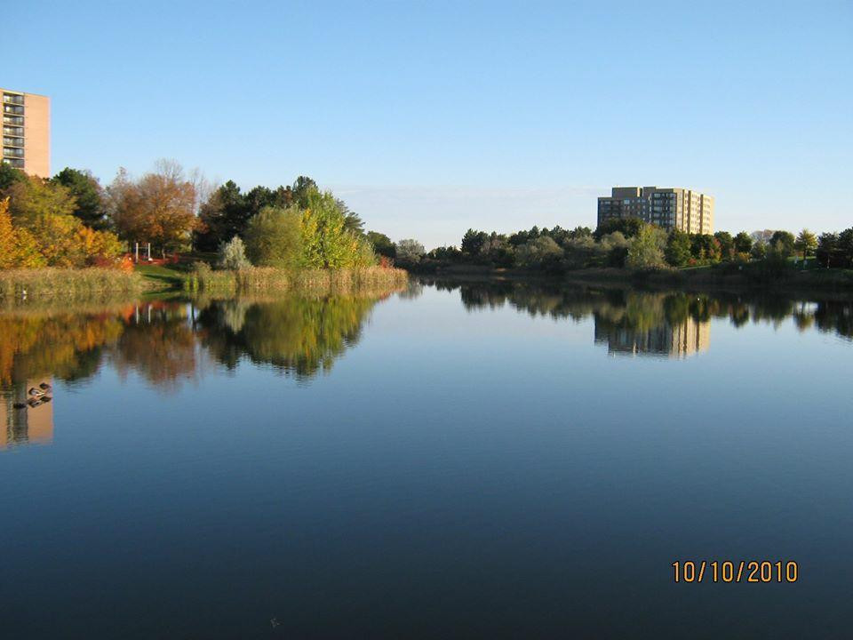 Lake Aquitaine Park景点图片