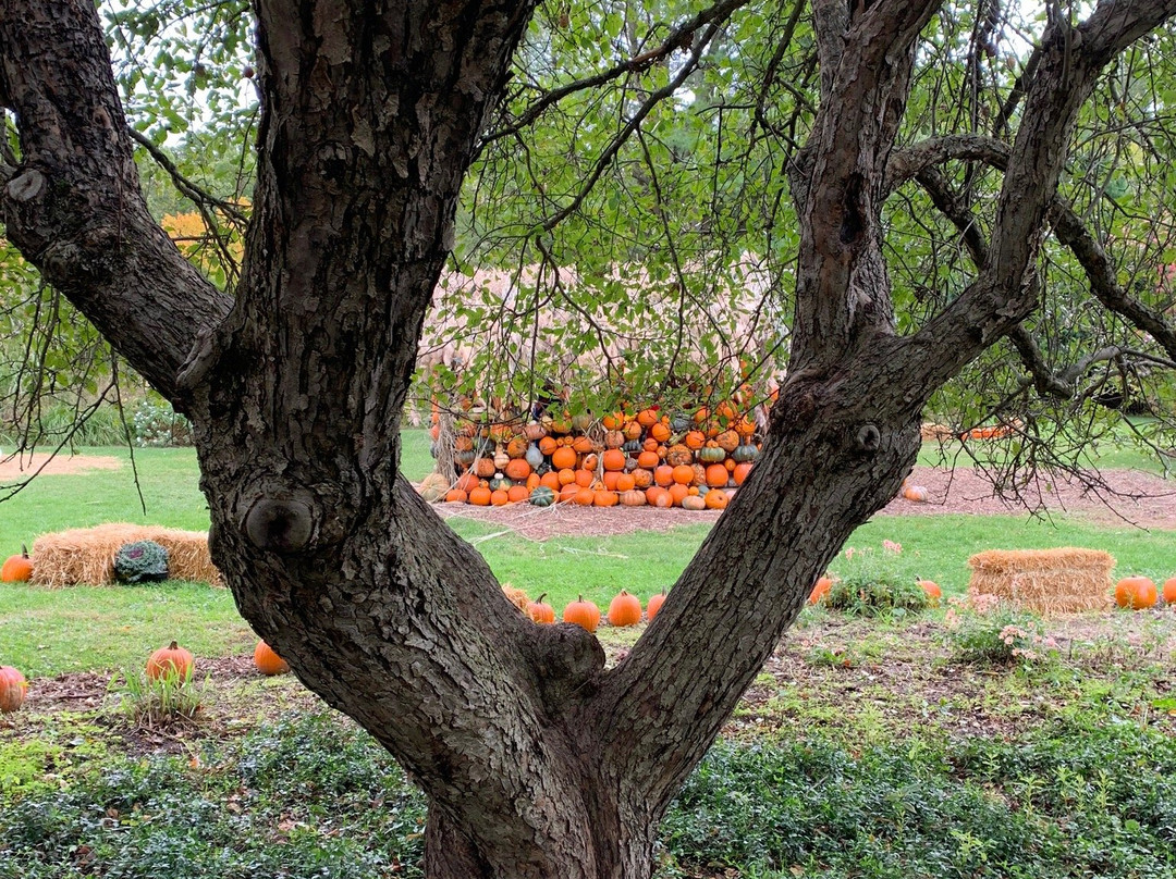 Fernwood Botanical Garden-Buchanan必去景点