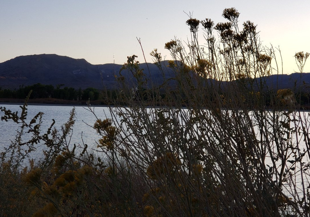 Pahranagat National Wildlife Refuge景点图片