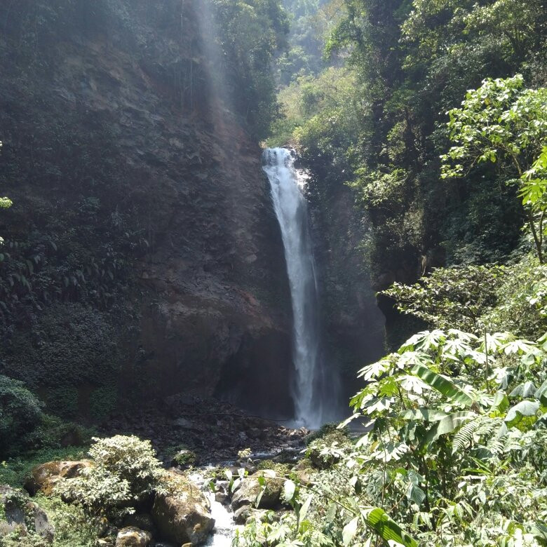 Coban Jodo Waterfall景点图片