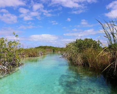 Namaste Transportation & Tours