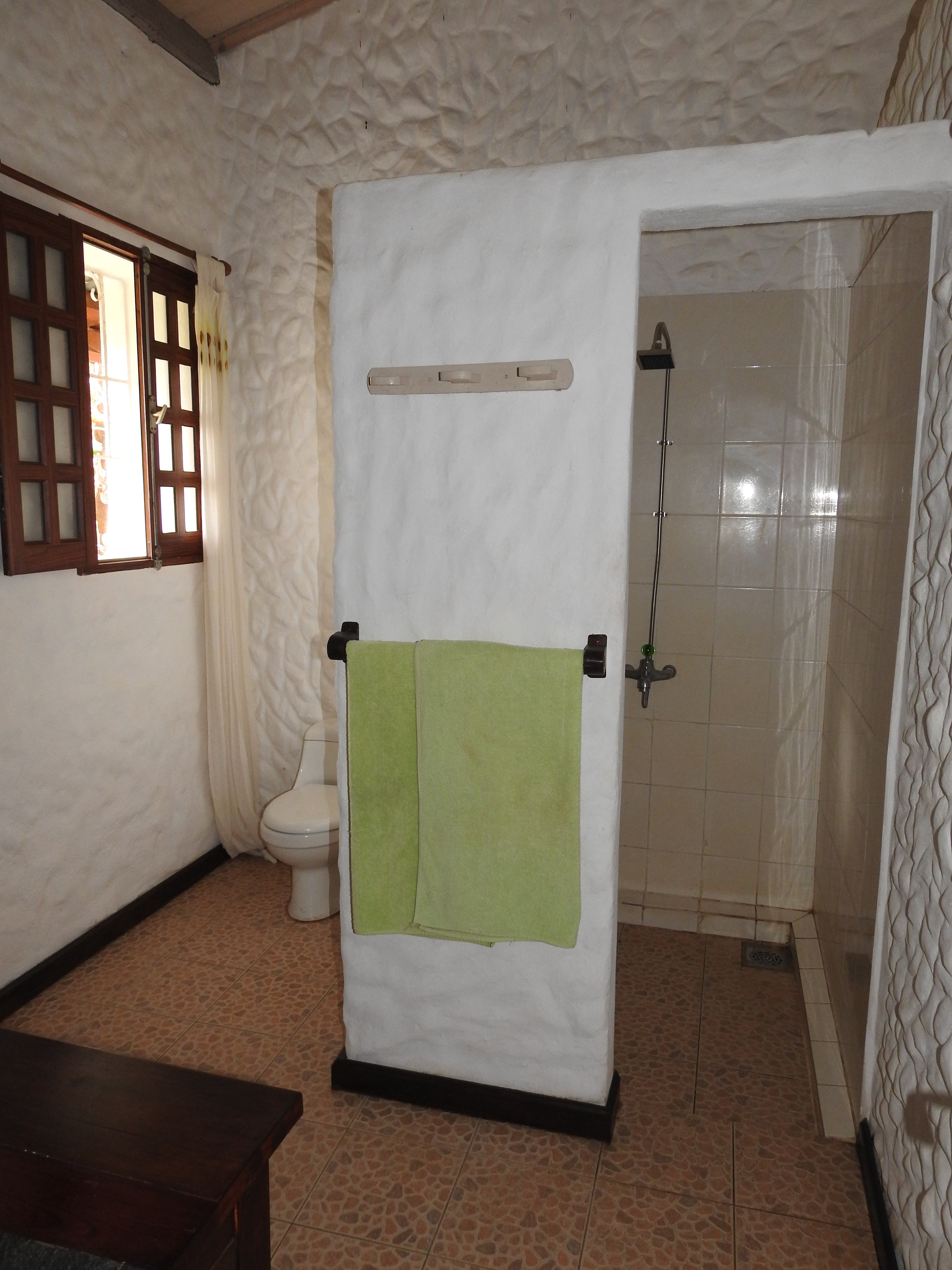 The Litchi Tree-浴室