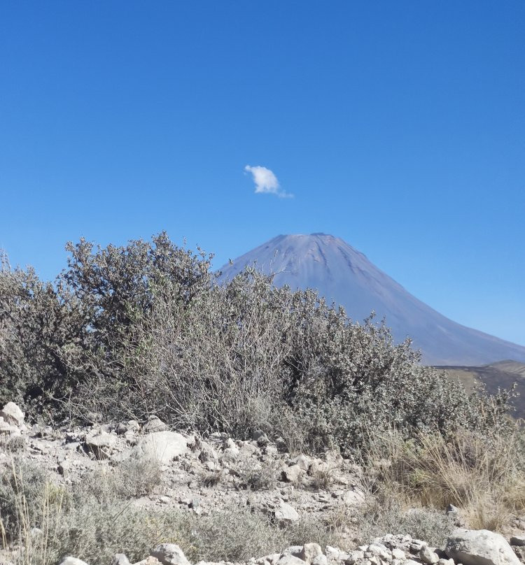 Volcan Misti景点图片