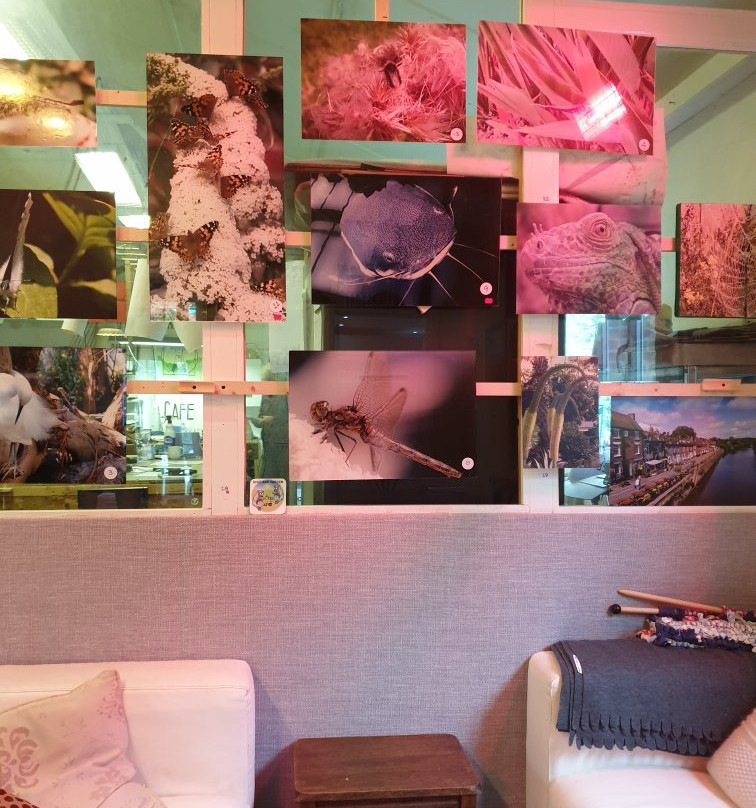 The Community Workshop and Cafe-Bewdley必去景点
