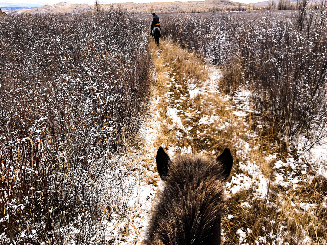 Horse Trails Mongolia - Day Treks-宗莫德必去景点