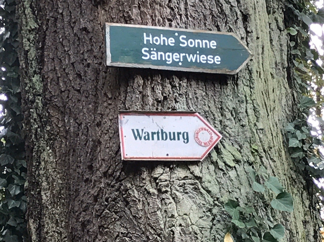 Pension im Park主图