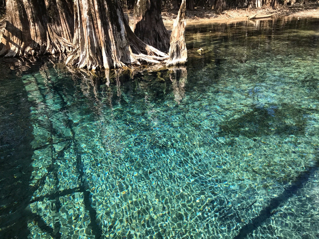 Morrison Springs County Park景点图片