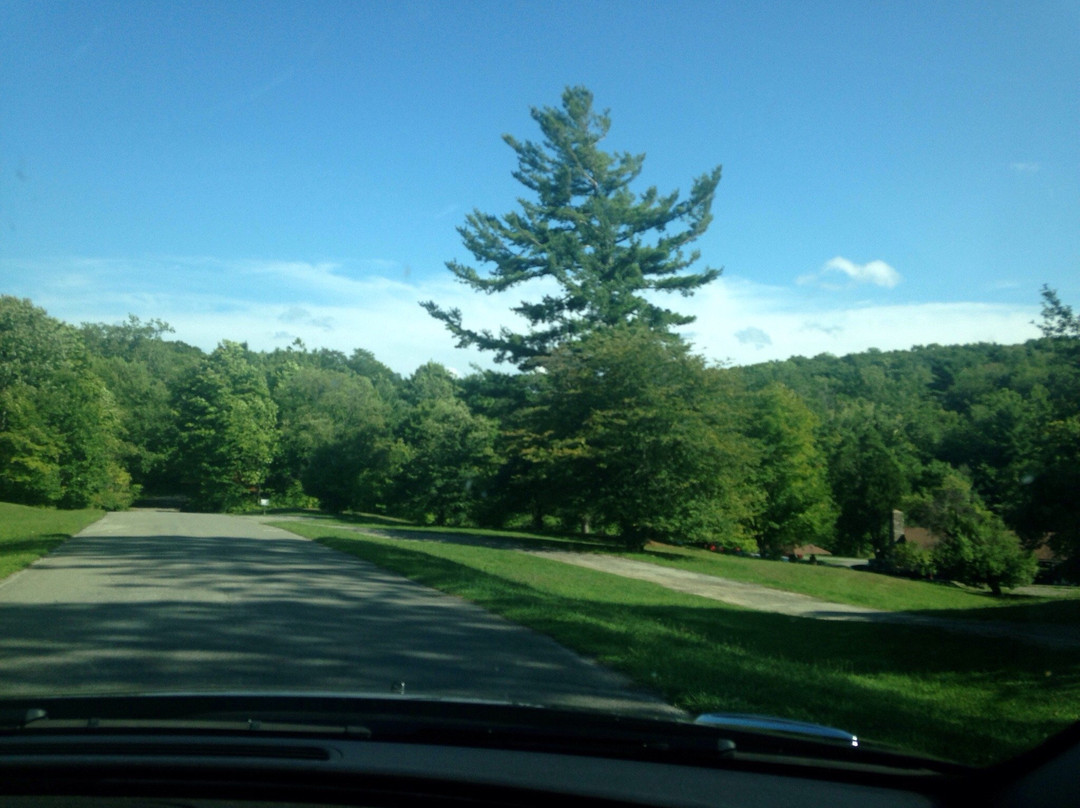 Chestnut Ridge Park景点图片