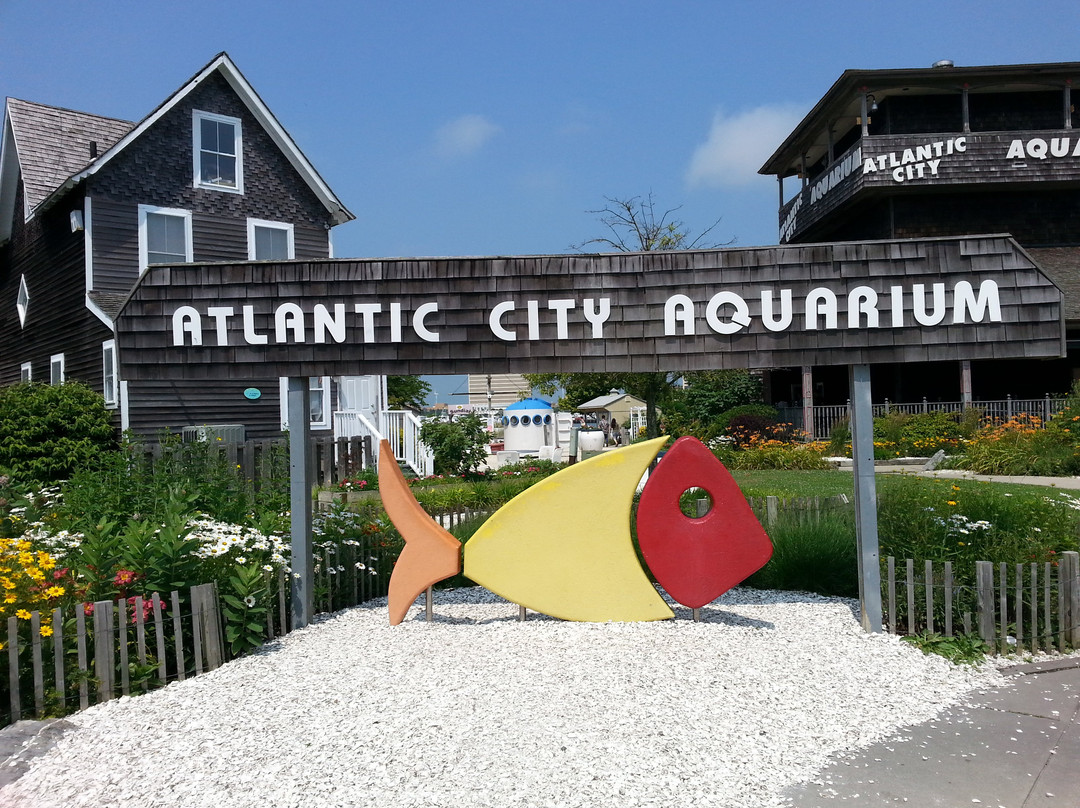 Atlantic City Aquarium Historic Gardner's Basin景点图片