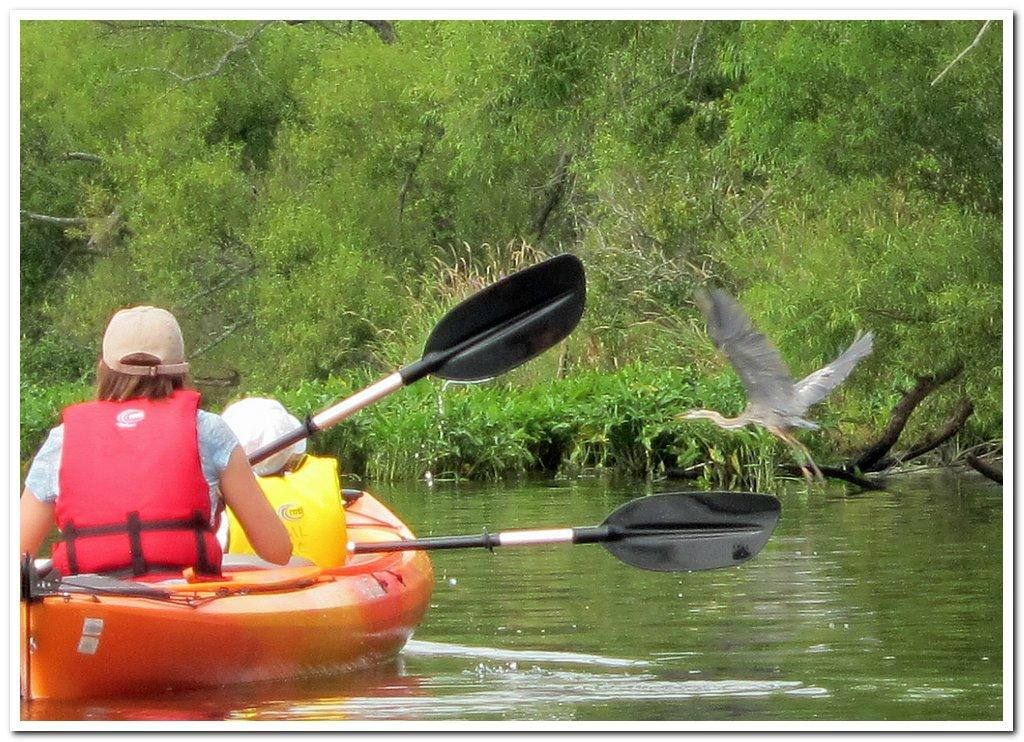 UMass Lowell Kayak Center景点图片
