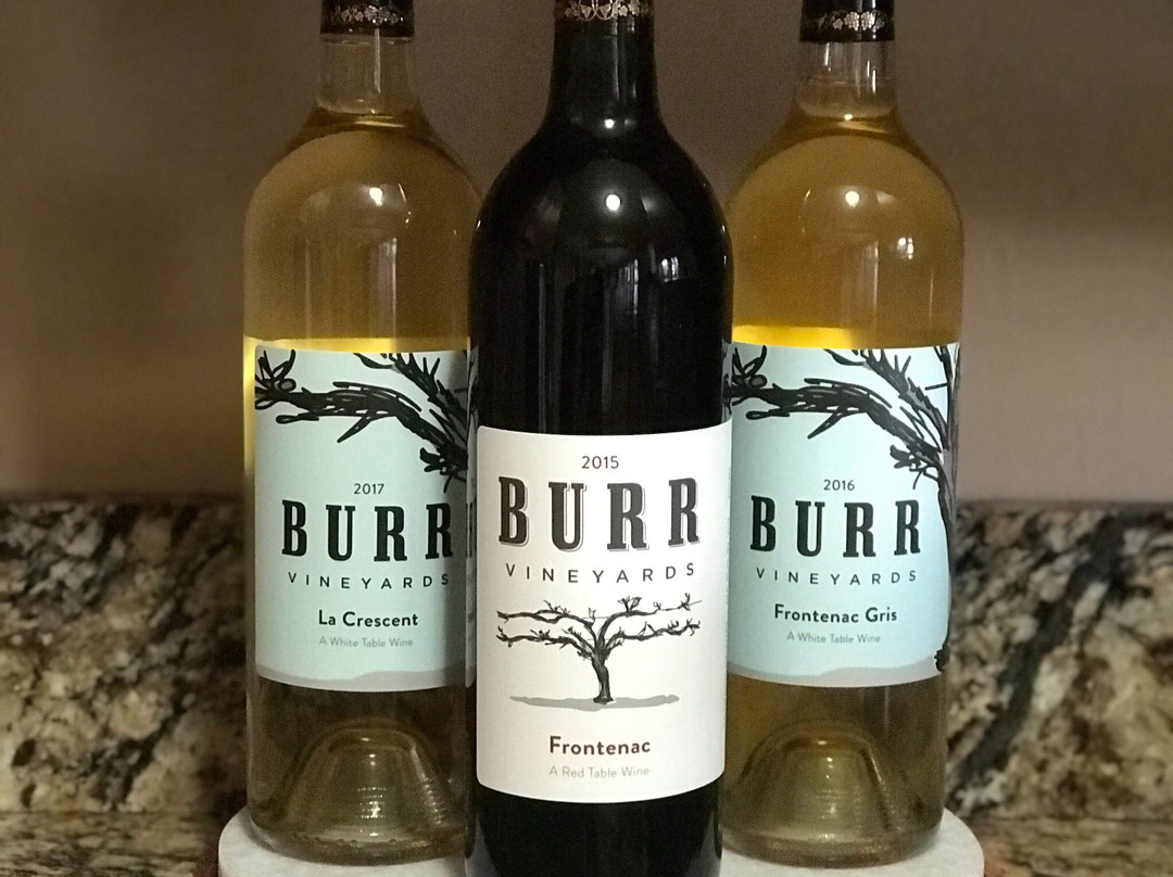 Burr Vineyards景点图片