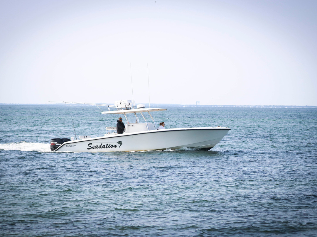 Sea Charters Sportfishing景点图片