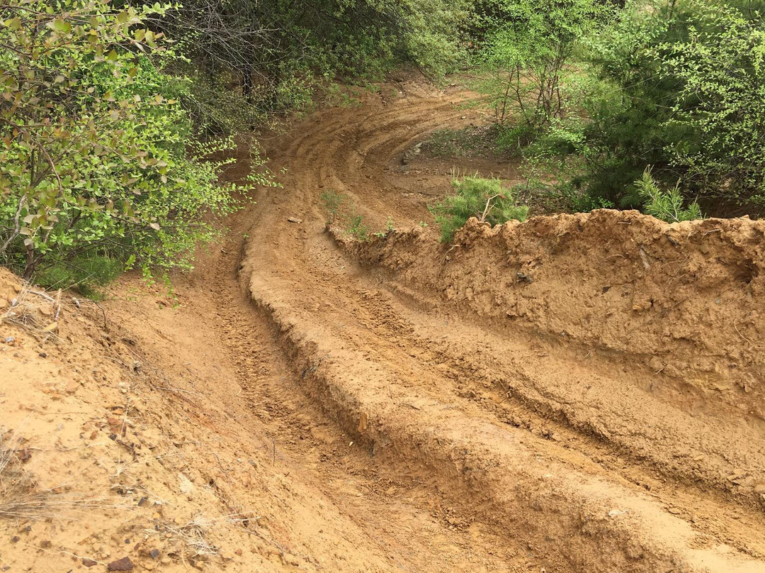 Redbird State Recreation Area