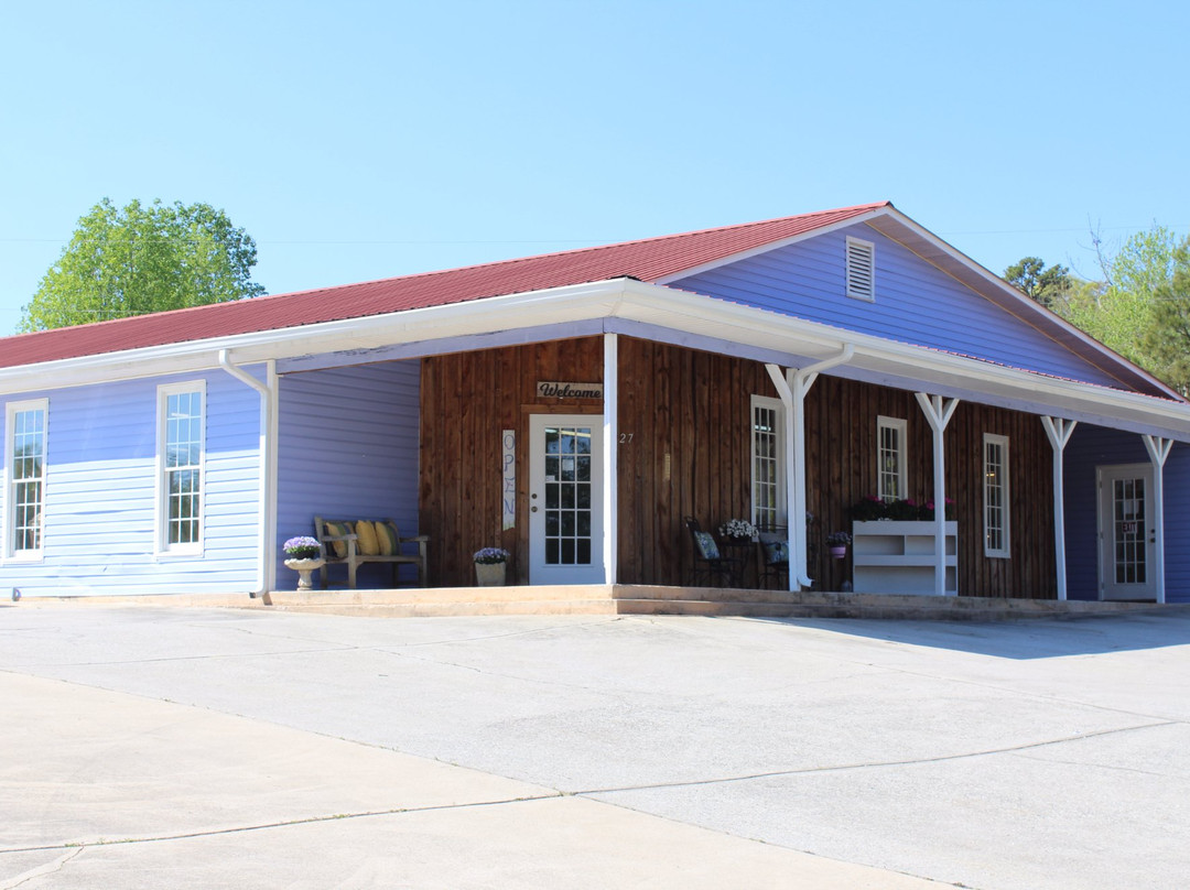 Dipsy Doodle Antiques-达洛尼加必去景点