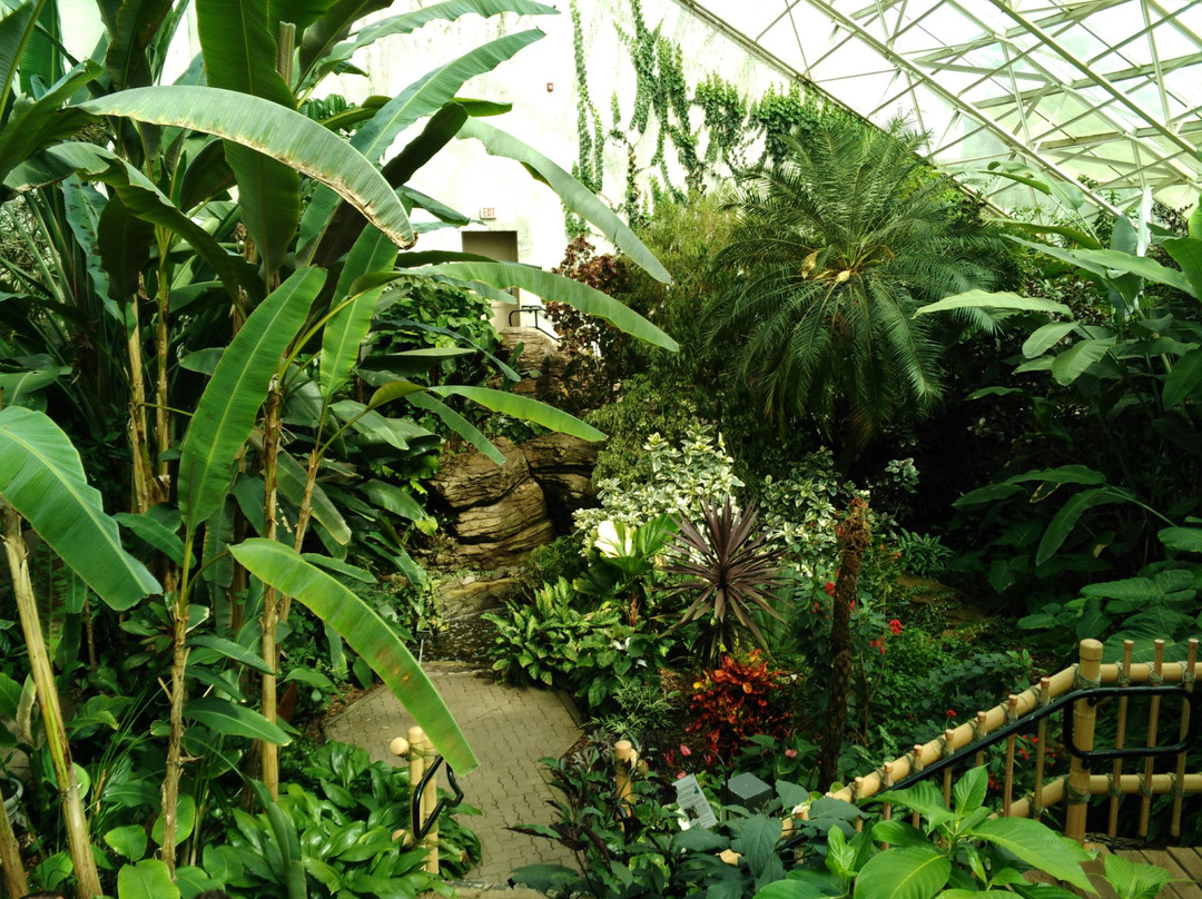 Foellinger-Freimann Botanical Conservatory景点图片