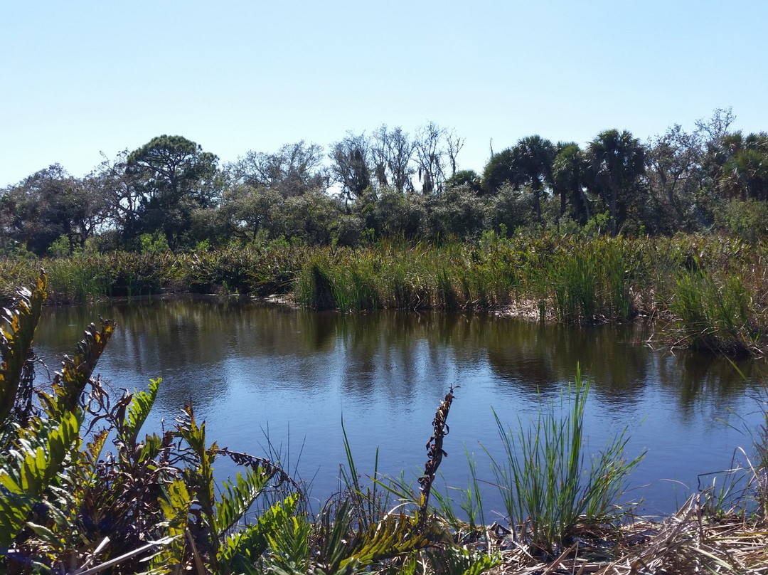 Caloosahatchee Creeks Preserve West景点图片