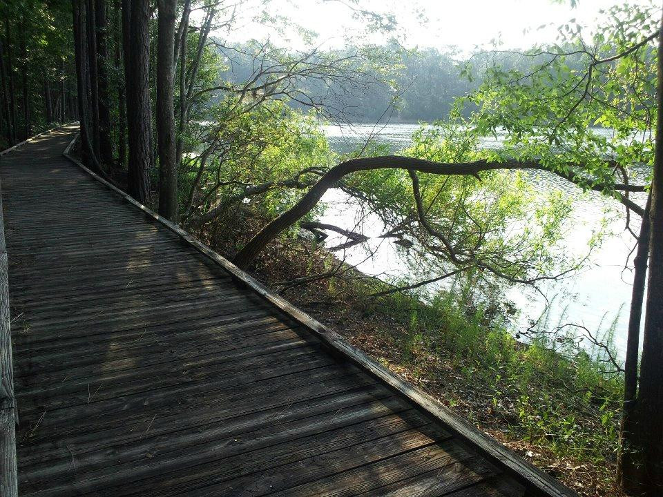 Callahan旅游景点-Bethesda Park