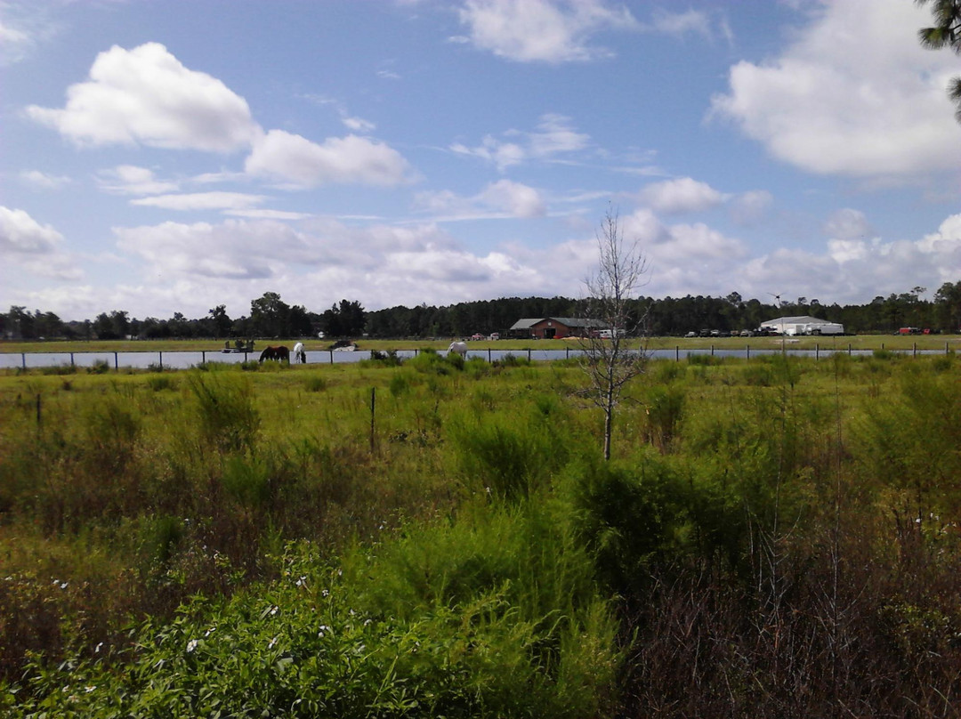 Jacksonville-Baldwin Rail Trail景点图片