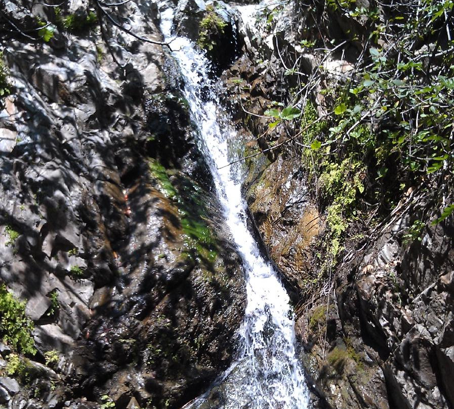 Coto de Caza旅游景点-O'Neill Regional Park