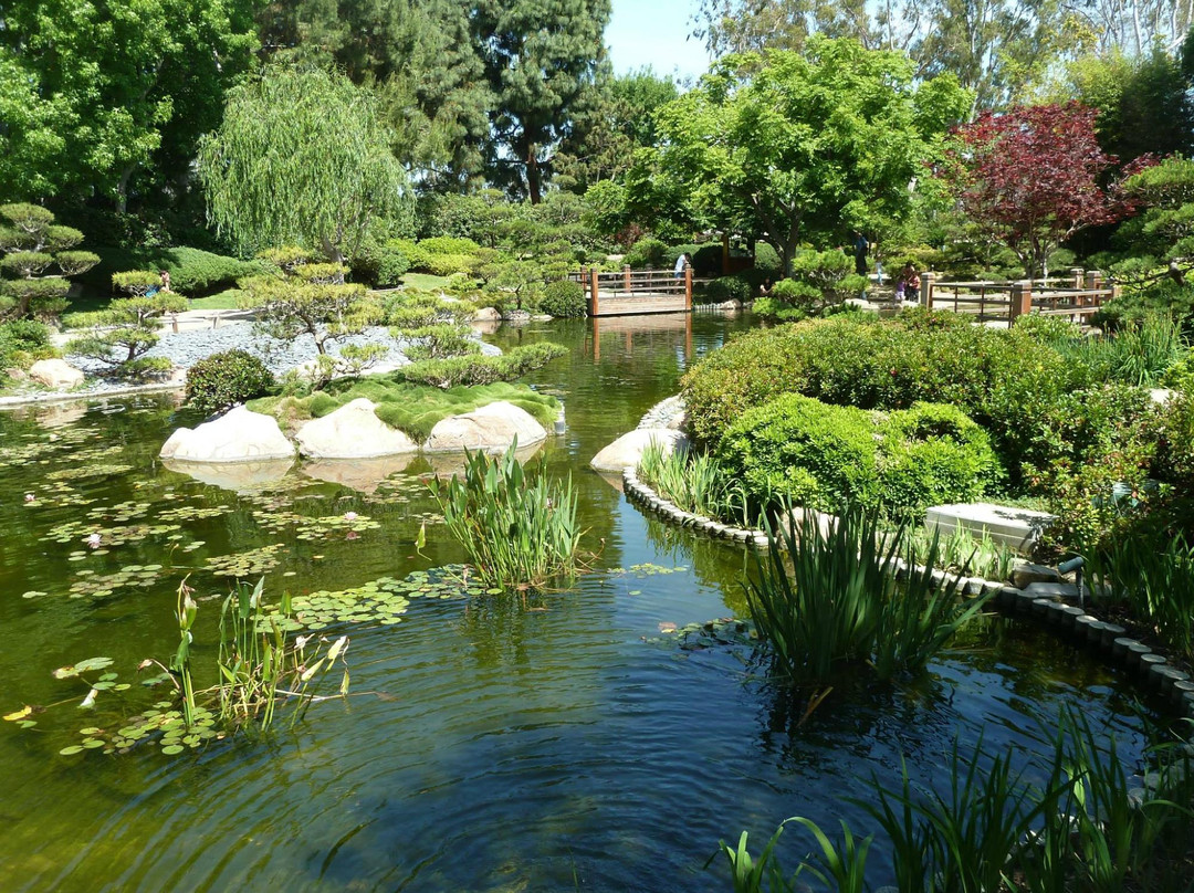 Earl Burns Miller Japanese Garden景点图片