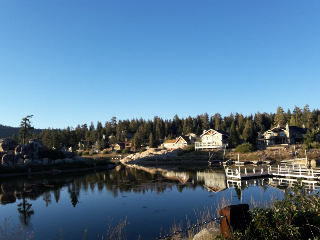 Moonridge旅游景点-Blvd Bears