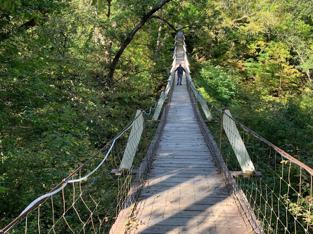 Swinging Bridge景点图片