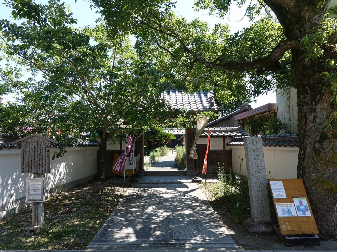 Nyoirin-ji Temple景点图片