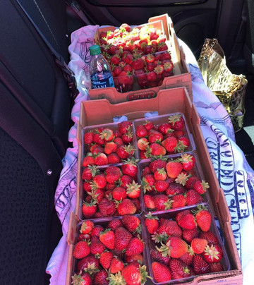 Cross Plains旅游景点-Appleberry Farm