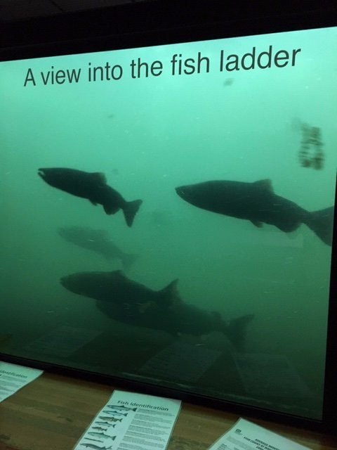 Washington Shore Visitor Center-North Bonneville必去景点