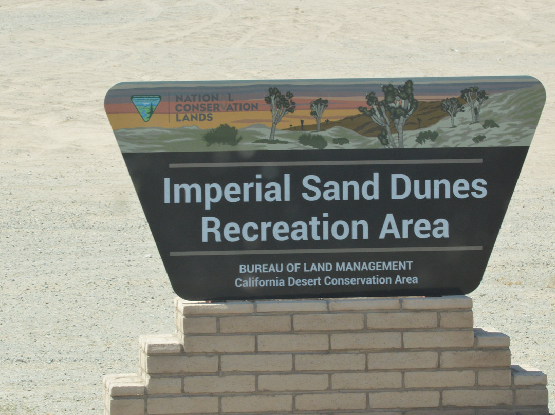 Imperial Sand Dunes-Niland必去景点
