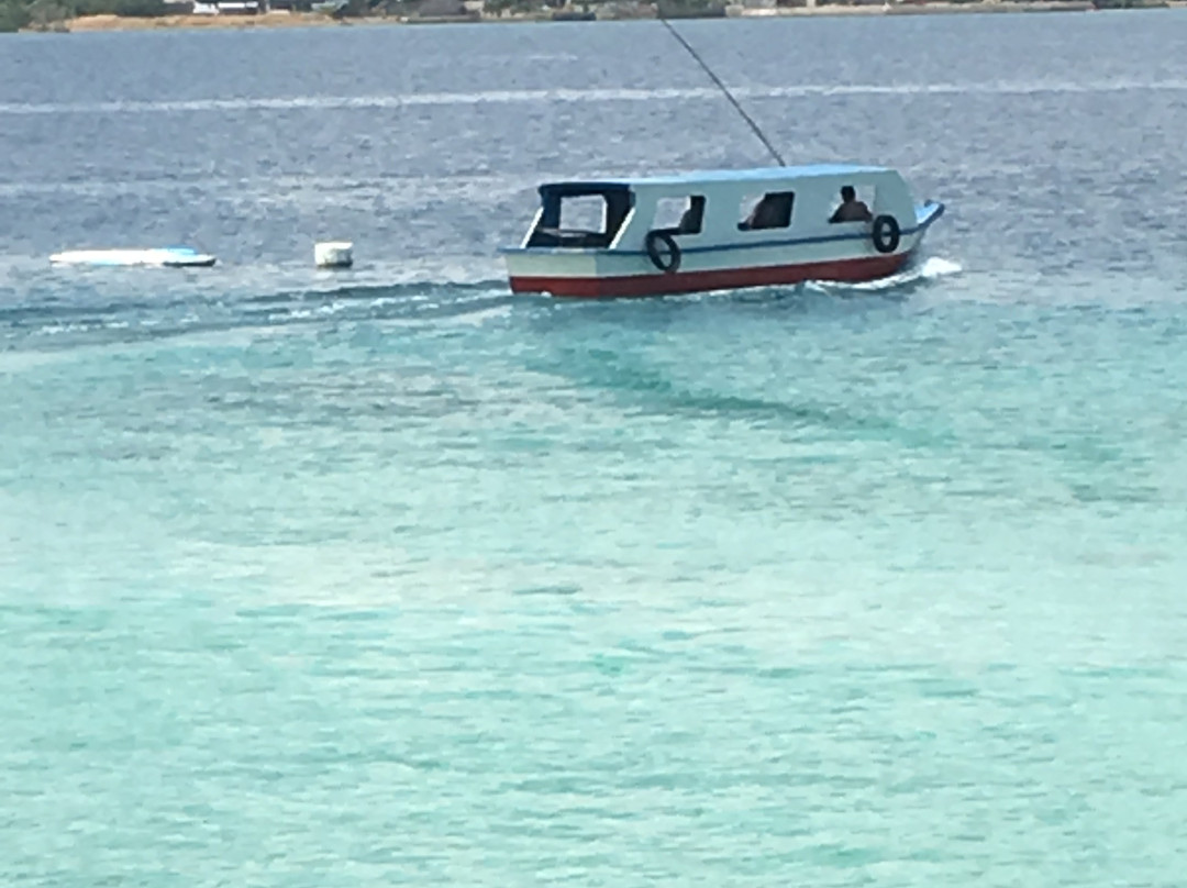 Buntod Sandbar and Reef Marine Sanctuary-Masbate City必去景点