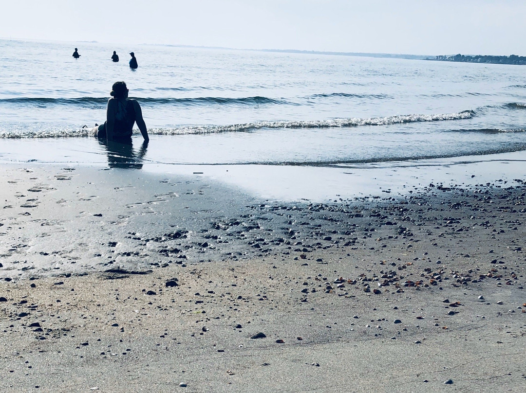 Harvey's Beach-旧塞布鲁克必去景点