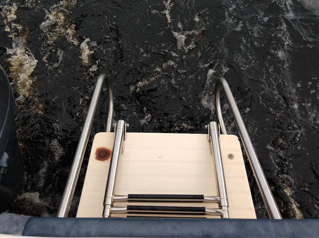 The Castaways on the River-Astor必去景点