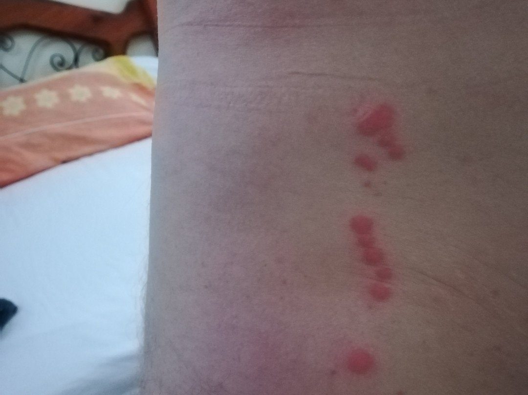 Hostal El Castillito主图