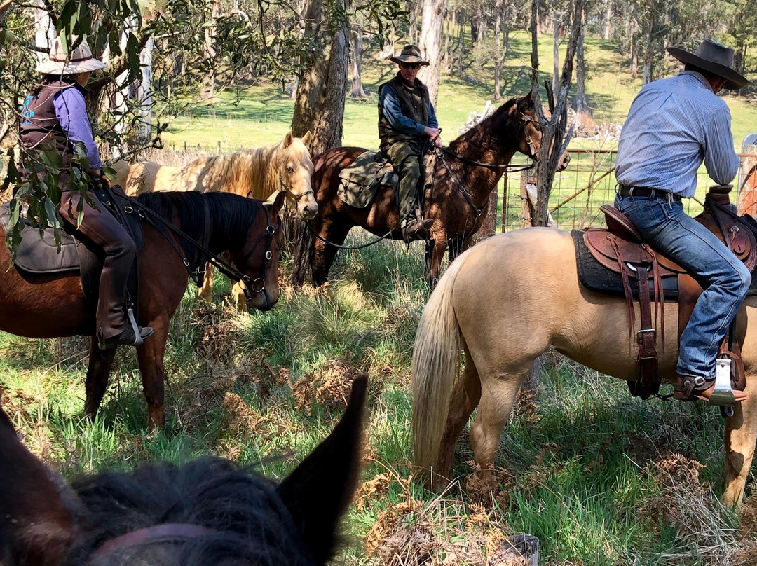River Horse Training and Trekking景点图片