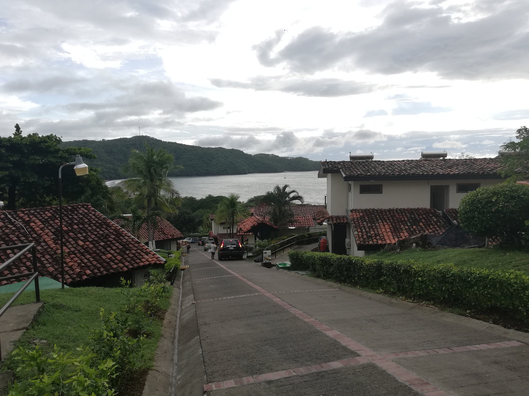 Condovac la Costa主图