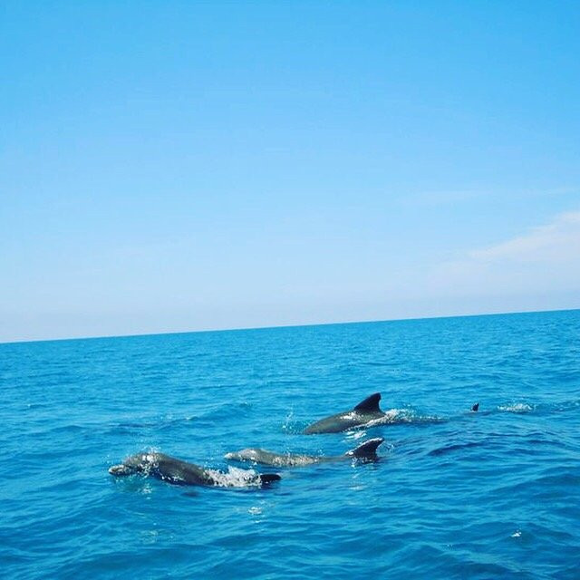 Buttonwood JA - Tours-瑰宝滩必去景点