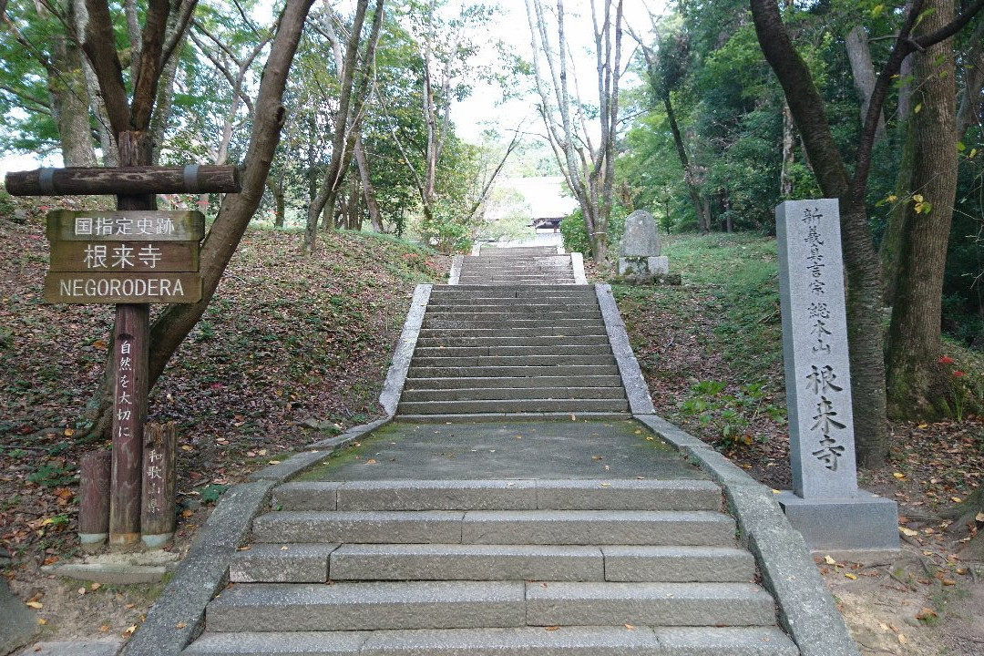 Negoro-ji Temple景点图片