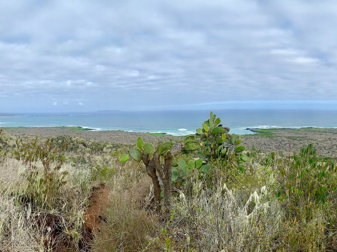 Isabela Island Wetlands Complex景点图片