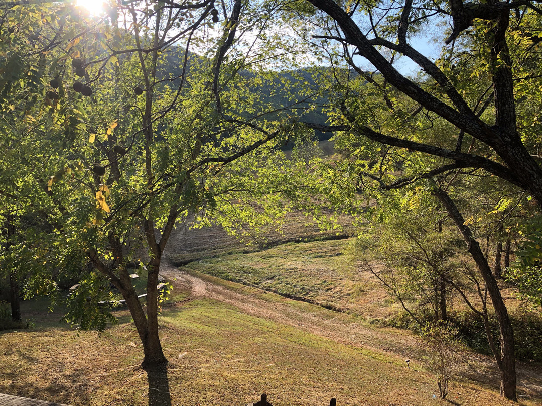 Snug Hollow Farm Bed & Breakfast主图