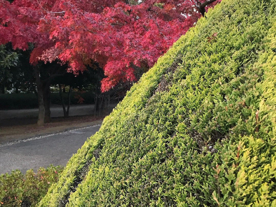 Yamanashi Prefectural Museum of Art景点图片