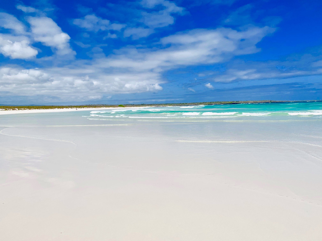 海龟湾海滩景点图片